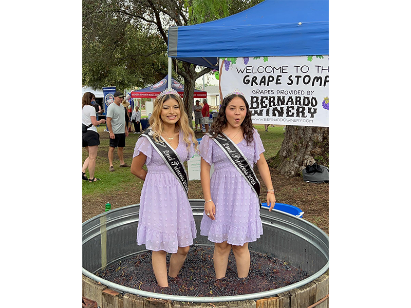 grape day festival