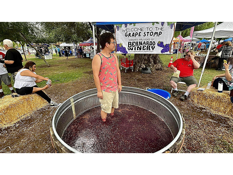 grape day festival