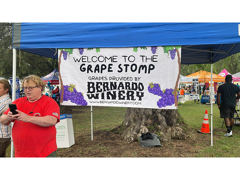 grape day festival