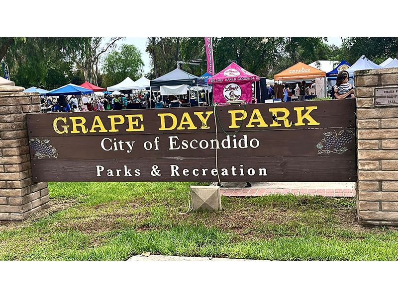 grape day festival