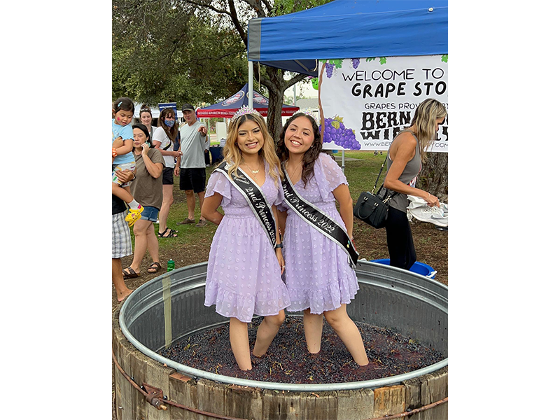 grape day festival