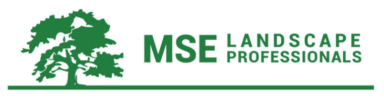 MSE landscape